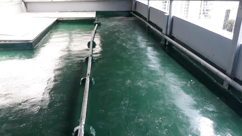 Chống thấm sàn mái pu epoxy nhà ở tư nhân