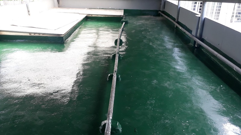 Chống thấm sàn mái pu epoxy nhà ở tư nhân