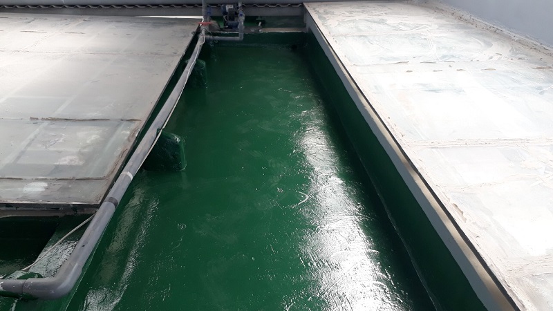 Chống thấm sàn mái pu epoxy nhà ở tư nhân