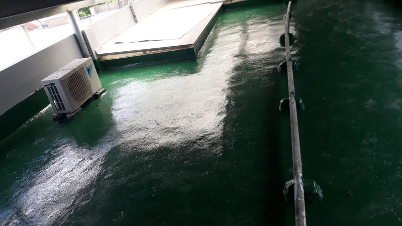 Chống thấm sàn mái pu epoxy nhà ở tư nhân